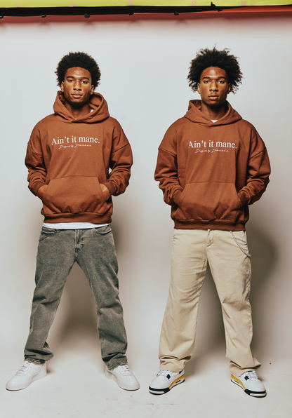 “AIN’T IT MANE” HOODIE