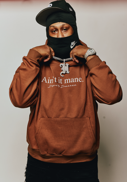 “AIN’T IT MANE” HOODIE