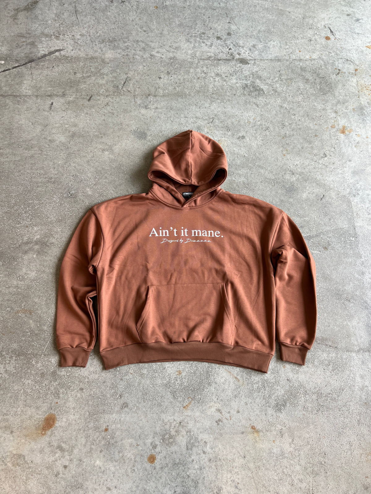 “AIN’T IT MANE” HOODIE